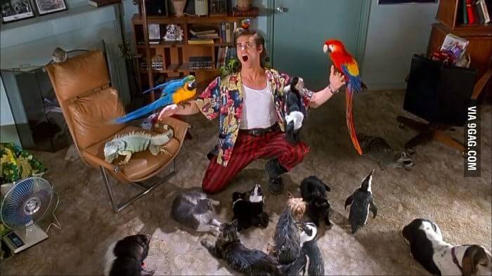 Ace Ventura with many animals